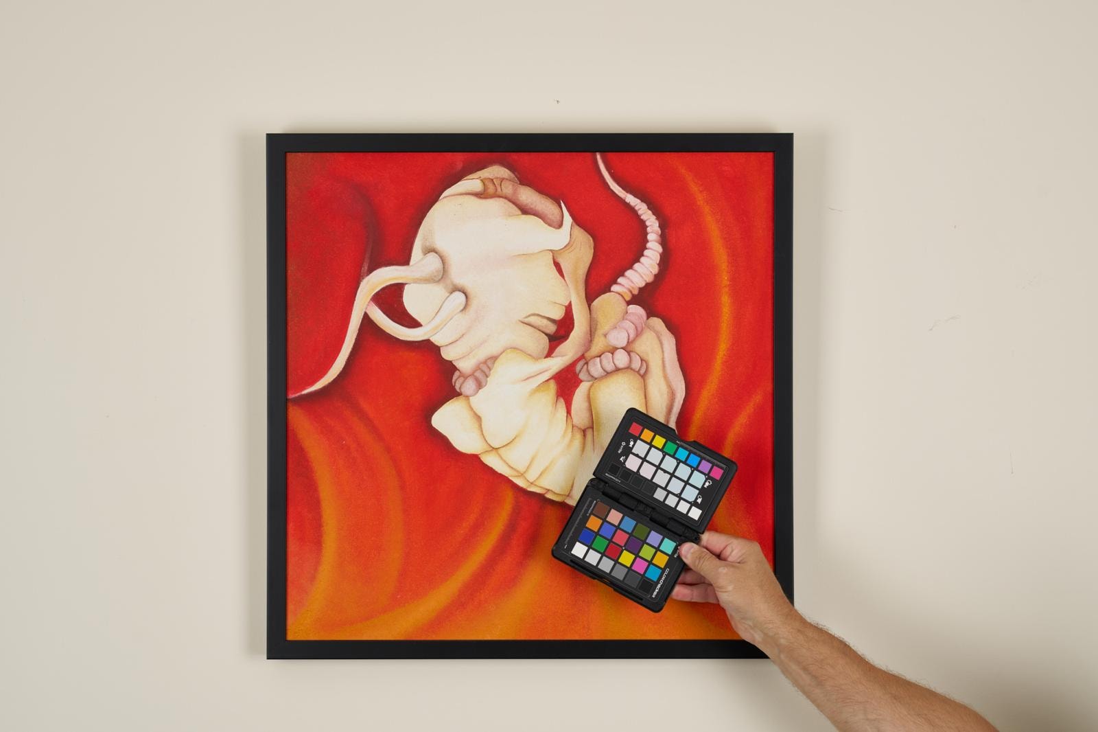 Hand holding colour checker near figurative painting
